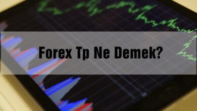 Forex Tp Ne Demek?